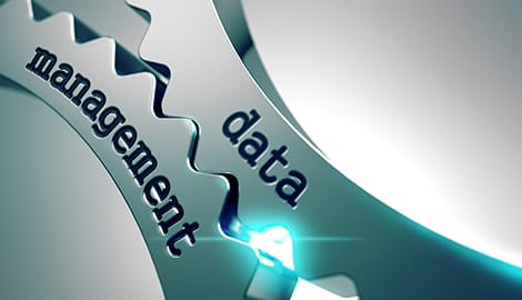 Database Management | BNF Technologies 